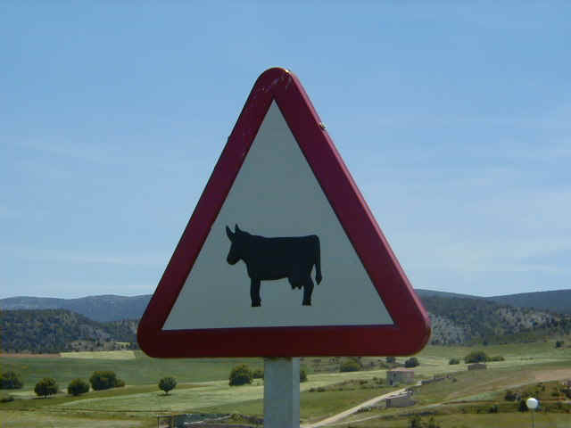 Sign of the bull -- Very appropriate in Spain