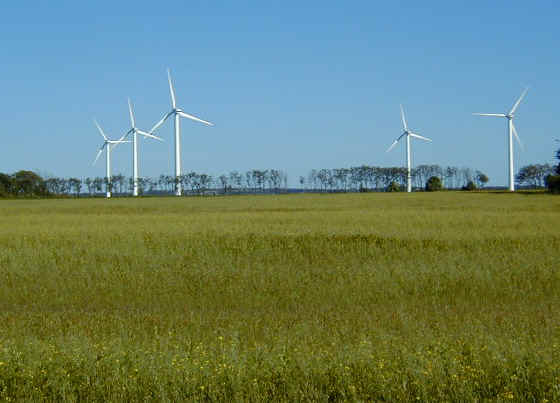 A small cluster of windmills